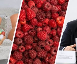 Bunt plantatorów malin! [Aktualności]