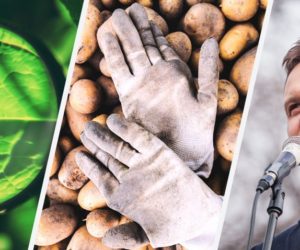 Brońmy polskich ziemniaków! Protest rolników [Aktualności]