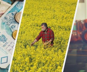 Błąd w&nbsp;ustawie o&nbsp;zakazie handlu. Ucierpią rolnicy! [Aktualności]