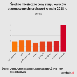 ceny skupu owoców na eksport