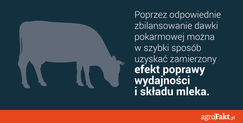 wydajność krów