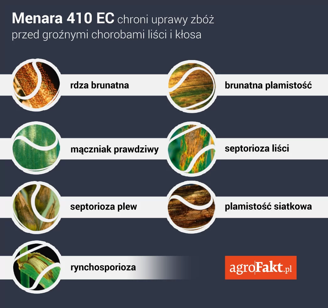 Menara - zwalczane choroby