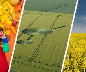 Wyścigi na polu? Rolnicy są wściekli! [Aktualności]