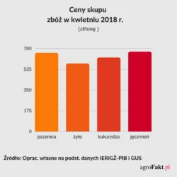 ceny skupu zbóż