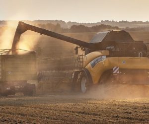 Ruszają żniwa! Posypał się pierwszy mandat dla rolnika