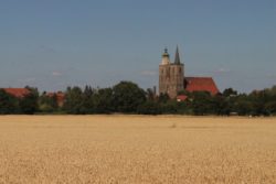 Zboże i kościół na wsi