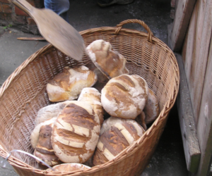 Zagroda edukacyjna – dodatkowy biznes dla rolnika