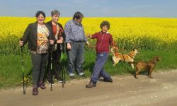 gospodarstwo agroturystyczne