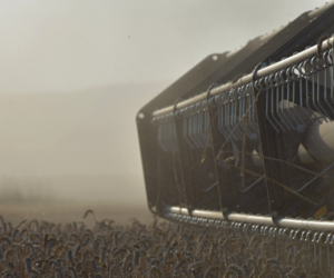 Konferencja Top Farms
