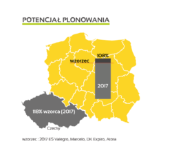 plon nasion
