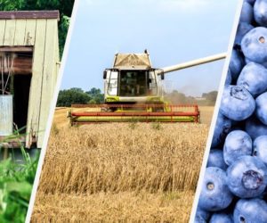 Rolnik dachował kombajnem! Był nietrzeźwy! [Aktualności]