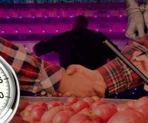 Ciekawostki rolnicze w&nbsp;100 sekund. Pierwsza pionowa farma?