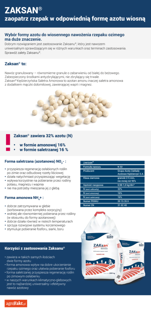 nawożenie rzepaku azotem wiosną 