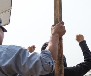 Ciekawostki rolnicze w&nbsp;100 sekund. Strajk rolników skuteczny?