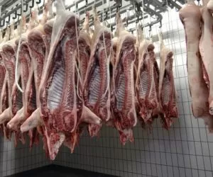 Import mięsa z&nbsp;Litwy – grozi nam wojna-handlowa?