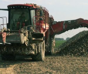 Kampania buraczana 2018. Długa, ale czy opłacalna?