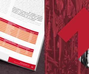 Opłacalność hodowli nasion w&nbsp;Polsce. Jaka jest?