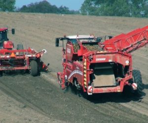 Zbiory ziemniaków 2018. Duża różnica w&nbsp;plonach