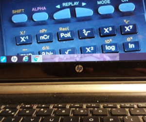 Koszty ogólnogospodarcze. Czy mają realny wpływ na wynik ekonomiczny gospodarstwa?