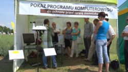 kalkulacja uprawy pszenicy