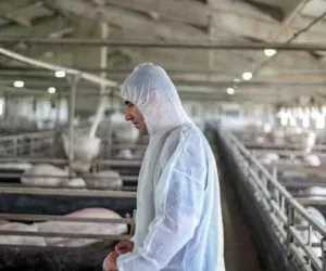 Bezpieczeństwo biologiczne zwierząt opiera się na mądrych decyzjach hodowców