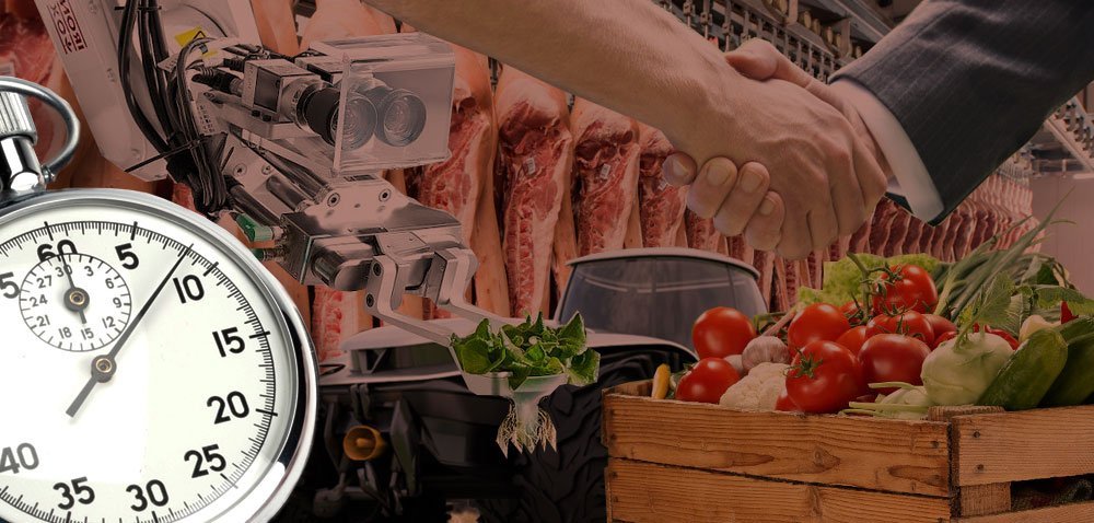 Ciekawostki rolnicze w 100 sekund. Uprawa roślin bez ziemi