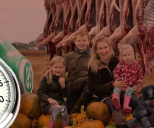 Ciekawostki rolnicze w&nbsp;100 sekund. Słynna uprawa dyni