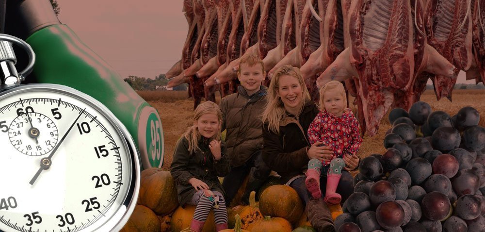 Ciekawostki rolnicze w 100 sekund. Słynna uprawa dyni