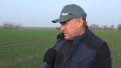 Choroby jesienne zbóż Jan Bartoszewski