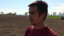 Przesiewanie rzepaku