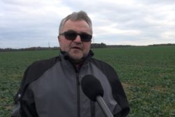 jesienne wapnowanie Ryszard Bandurowski