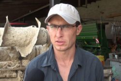 jesienne wapnowanie tomasz cichon