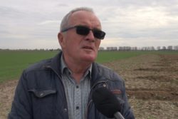 jesienne wapnowanie wojciech kalecinski