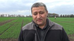 kondycja zbóż przed zimą Krzysztof Bochniak