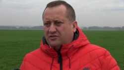 kondycja zbóż przed zimą Marcin Wołczański