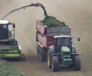 Poplony ścierniskowe. Zbiór na kiszonkę i&nbsp;orka zimowa