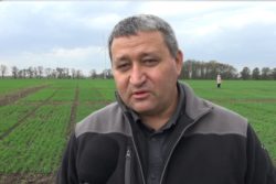 przesiewanie rzepaku krzysztof bochniak