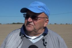 przesiewanie rzepaku zbigniew kozik