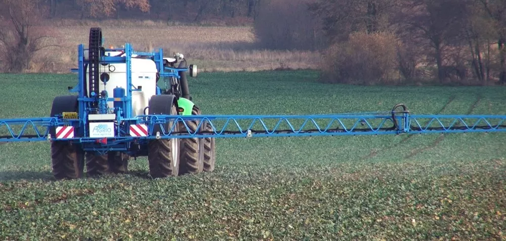 Stan rzepaku przed zimą. Oceń swoją plantację