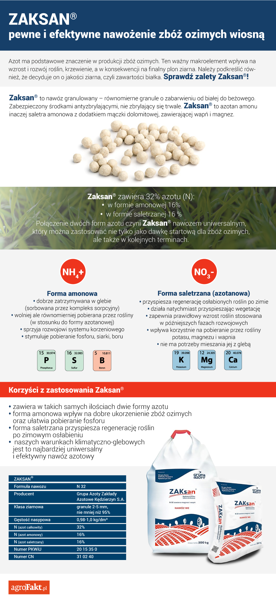 nawożenie zbóż ozimych wiosną