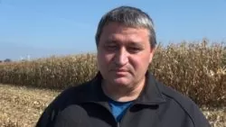 plonowanie kukurydzy na ziarno Krzysztof Bochniak