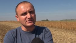żniwa soi w Polsce