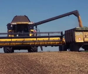 Uprawa i&nbsp;żniwa soi oraz jej wpływ na glebę