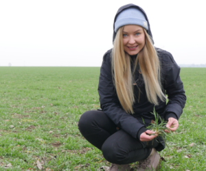 Czy zboża są gotowe na spoczynek zimowy? [WIDEO]
