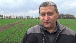 wpływ na przezimowanie zbóż ozimych Krzysztof Bochnak