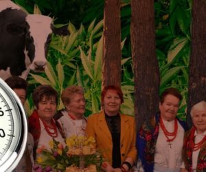 Ciekawostki rolnicze w&nbsp;100 sekund – m.in. uprawa konopi