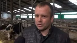 Stefan Goetz
