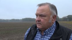 orka przedzimowa Marian Górecki