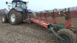 orka przedzimowa pług