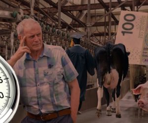 Ciekawostki rolnicze w&nbsp;100 sekund – m.in. dochód rolnika